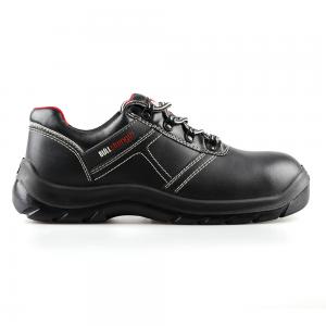 basic low cut safety shoes with steel toecap and steel midsole(SN5734)